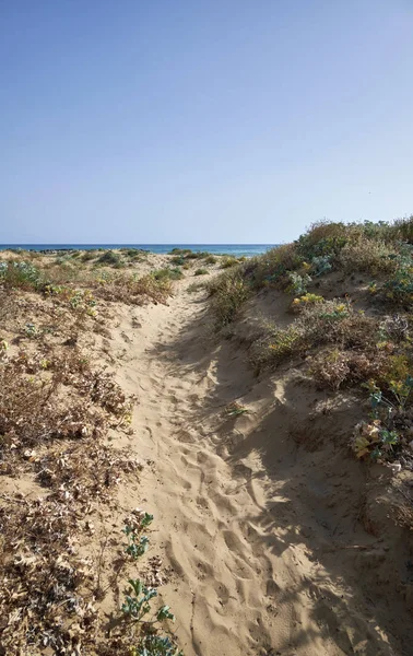 Italy Sicily Mediterranean Sea Southern Sandy Coastline Playa Grande Ragusa — Stock Photo, Image