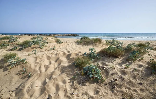 Italië Sicilië Middellandse Zee Zuidelijke Zandkust Playa Grande Provincie Ragusa — Stockfoto