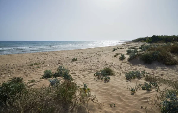 Italië Sicilië Middellandse Zee Zuidelijke Zandkust Playa Grande Provincie Ragusa — Stockfoto