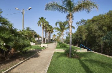 İtalya, Sicilya, Akdeniz, Playa Grande (Ragusa ili), deniz kenarında palmiye ağaçları