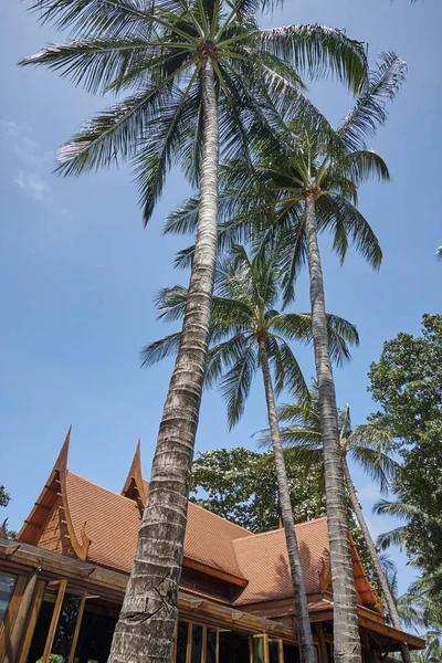 Thailand Koh Samui Samui Island Coconut Palm Trees Resort Beach — Stock Photo, Image