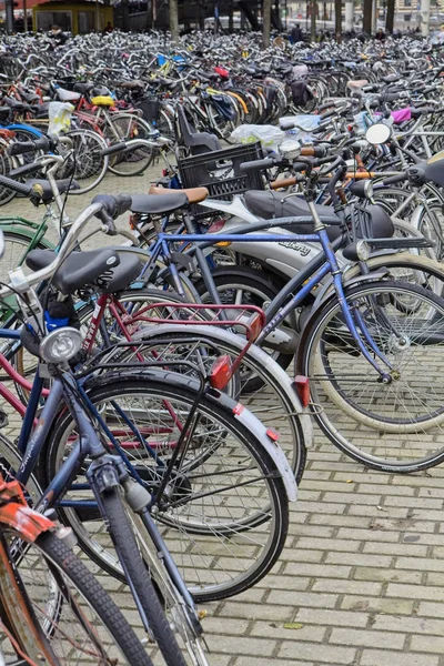 Holland Amsterdam Oktober 2011 Fahrradabstellplatz Der Nähe Des Hauptbahnhofs Leitartikel — Stockfoto