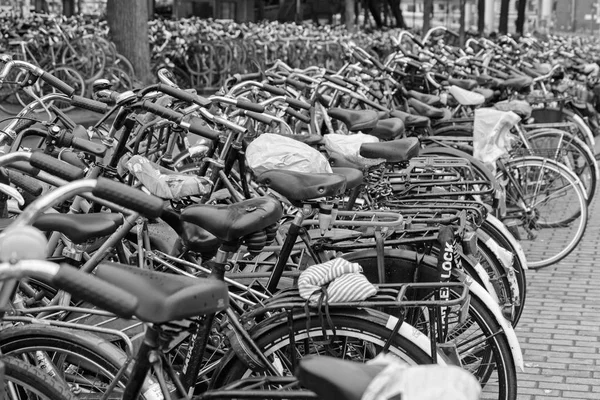 Holland Amsterdam Oktober 2011 Fahrradabstellplatz Der Nähe Des Hauptbahnhofs Leitartikel — Stockfoto