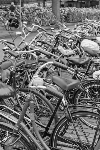 네덜란드 암스테르담 2011 자전거 주차장 — 스톡 사진