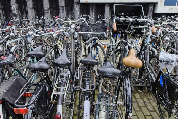 Holandsko Amsterdam Října 2011 Jízdní Kola Parkování Poblíž Hlavního Nádraží — Stock fotografie