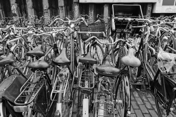 Holland Amsterdam October 2011 Bicycles Parking Central Station Editorial — Stock Photo, Image