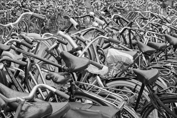 Holland Amsterdam October 2011 Bicycles Parking Central Station Editorial — Stock Photo, Image