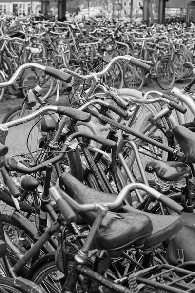 Holland Amsterdam October 2011 Bicycles Parking Central Station Editorial — Stock Photo, Image