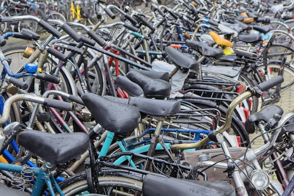 Holland Amsterdam Oktober 2011 Fahrradabstellplatz Der Nähe Des Hauptbahnhofs Leitartikel — Stockfoto