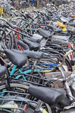 Hollanda, Amsterdam; 9 Ekim 2011, Otopark yakın Merkez İstasyonu - editoryal bisikletler