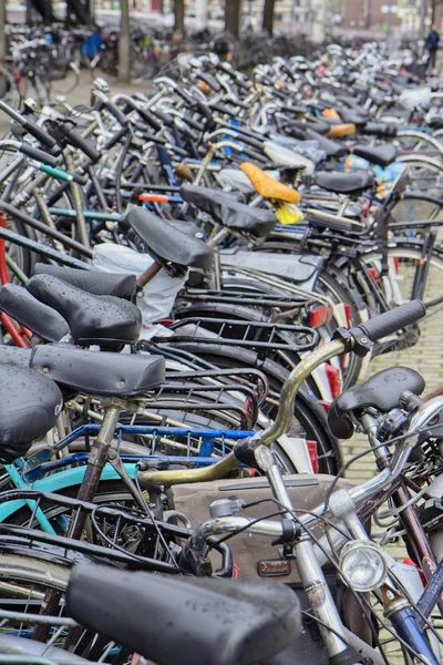 Holland Amsterdam Oktober 2011 Fahrradabstellplatz Der Nähe Des Hauptbahnhofs Leitartikel — Stockfoto