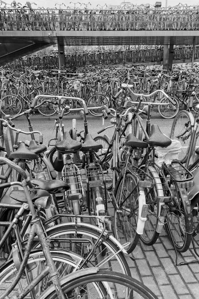 Голландія Амстердам Жовтня 2011 Велосипедів Стоянка Біля Центрального Залізничного Вокзалу — стокове фото