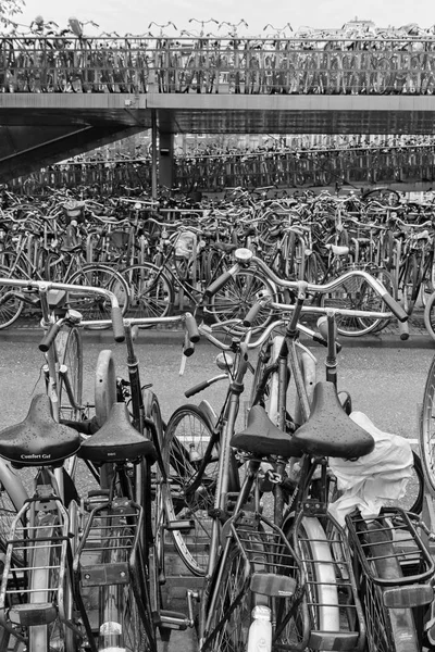 Olanda Amsterdam Ottobre 2011 Parcheggio Biciclette Vicino Alla Stazione Centrale — Foto Stock