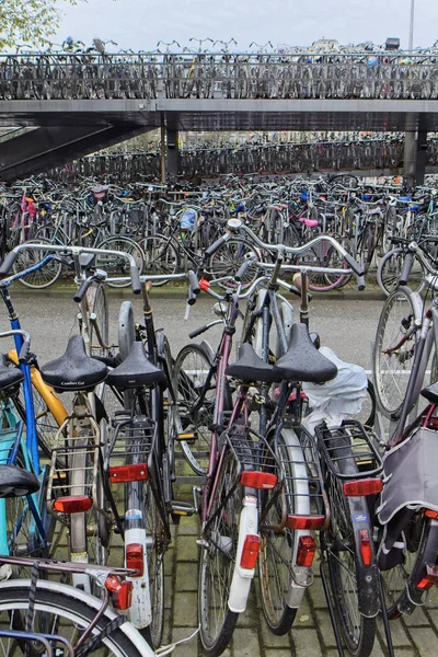 Holland Amsterdam October 2011 Bicycles Parking Central Station Editorial — Stock Photo, Image