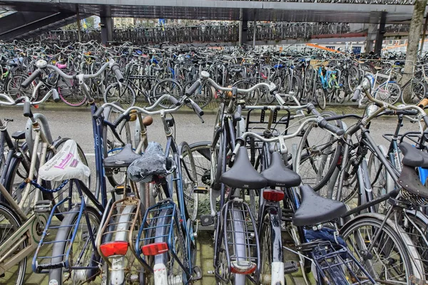 Holland Amsterdam Oktober 2011 Fahrradabstellplatz Der Nähe Des Hauptbahnhofs Leitartikel — Stockfoto