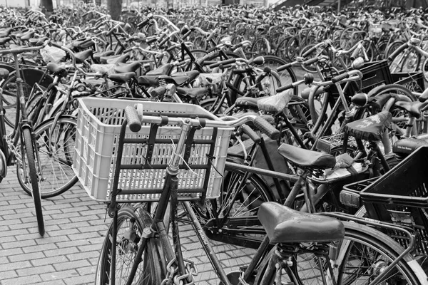 Holland Amsterdam Oktober 2011 Fahrradabstellplatz Der Nähe Des Hauptbahnhofs Leitartikel — Stockfoto