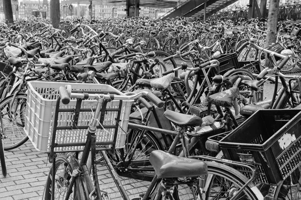 Голландия Амстердам Октября 2011 Года Парковка Велосипедов Рядом Центральным Вокзалом — стоковое фото