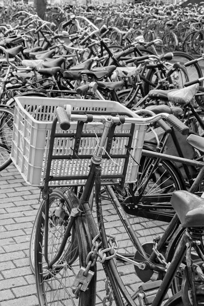 Holland Amsterdam Oktober 2011 Fahrradabstellplatz Der Nähe Des Hauptbahnhofs Leitartikel — Stockfoto