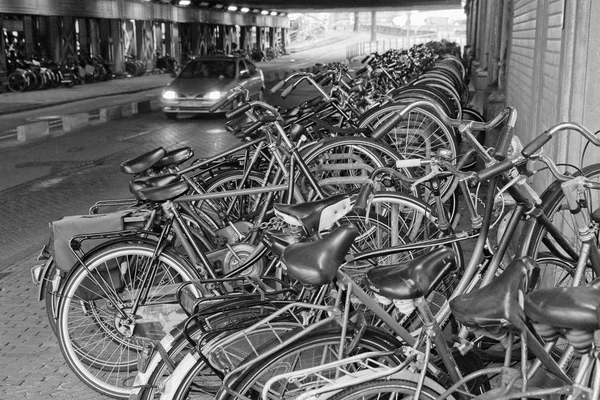 Holland Amsterdam Oktober 2011 Fahrradabstellplatz Der Nähe Des Hauptbahnhofs Leitartikel — Stockfoto