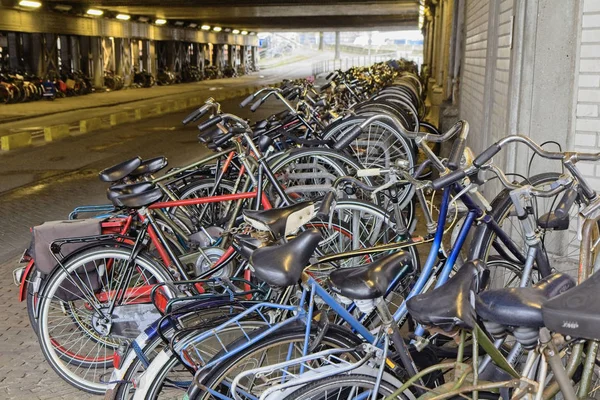 Holanda Ámsterdam Octubre 2011 Estacionamiento Bicicletas Cerca Estación Central Editorial —  Fotos de Stock