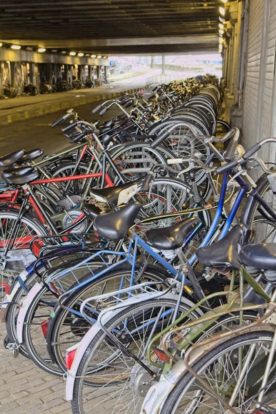 Holland Amsterdam October 2011 Bicycles Parking Central Station Editorial — Stock Photo, Image