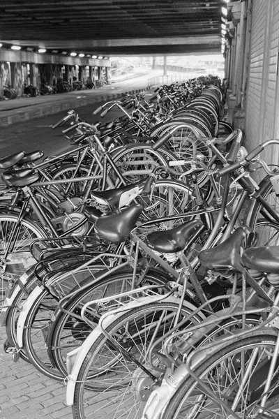 Holanda Ámsterdam Octubre 2011 Estacionamiento Bicicletas Cerca Estación Central Editorial — Foto de Stock