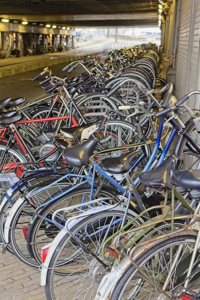 Holanda Ámsterdam Octubre 2011 Estacionamiento Bicicletas Cerca Estación Central Editorial —  Fotos de Stock