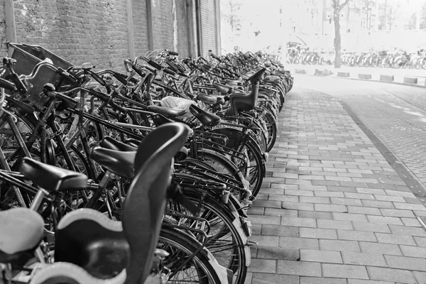 Holland Amsterdam October 2011 Bicycles Parking Central Station Editorial — Stock Photo, Image