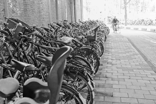 Holanda Ámsterdam Octubre 2011 Estacionamiento Bicicletas Cerca Estación Central Editorial — Foto de Stock