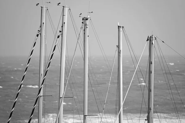 Itálie Siciliy Středozemní Moře Marina Ragusa Plachetnicových Stěžňů Marina — Stock fotografie