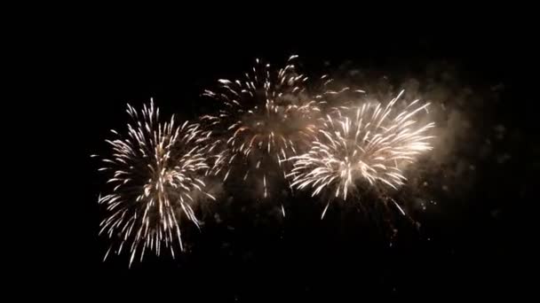 Italië Sicilië Marina Ragusa Provincie Ragusa Vuurwerk Nachts Stockvideo