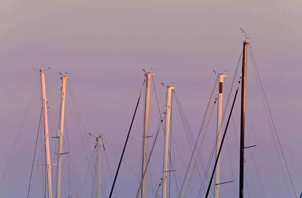 Italien Sicilien Medelhavet Marina Ragusa Ragusaprovinsen Segelbåtar Master Hamnen Vid — Stockfoto