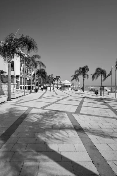 İtalya, Sicilya, Akdeniz, Marina di Ragusa (Ragusa Eyaleti), palmiye ağaçlı deniz kenarındaki binalar ve insanlar