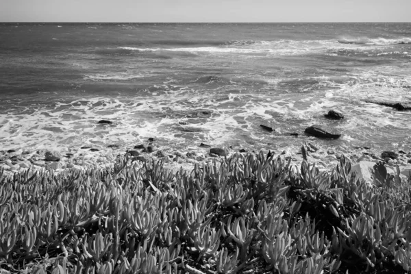 Italia Sicilia Mar Mediterráneo Sampieri Provincia Ragusa Vista Costa Rocosa —  Fotos de Stock