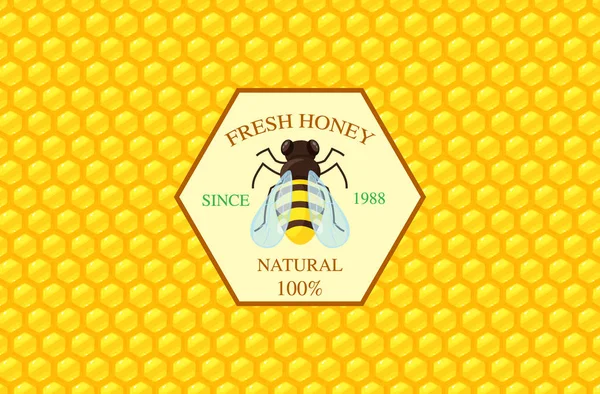 Vorlage für Honigetiketten — Stockvektor