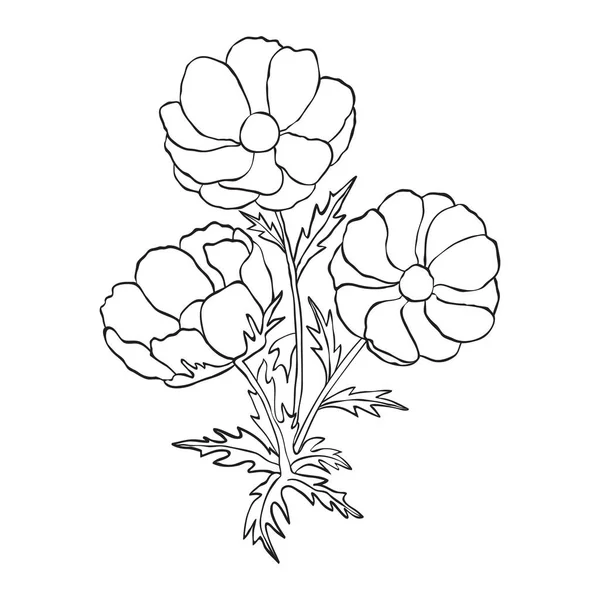 Flores dibujadas a mano — Vector de stock