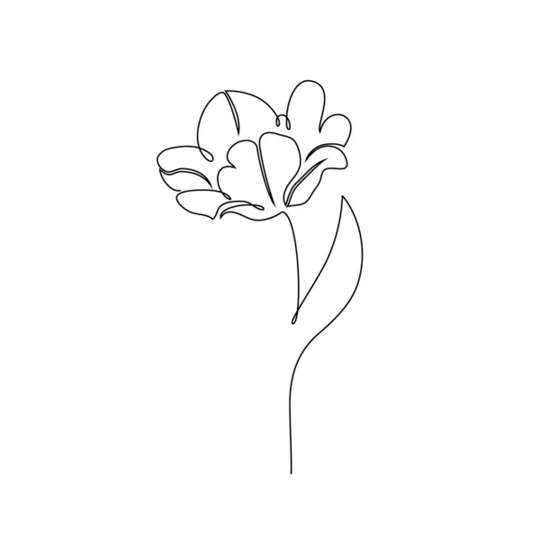 Fleur de tulipe sur blanc — Image vectorielle