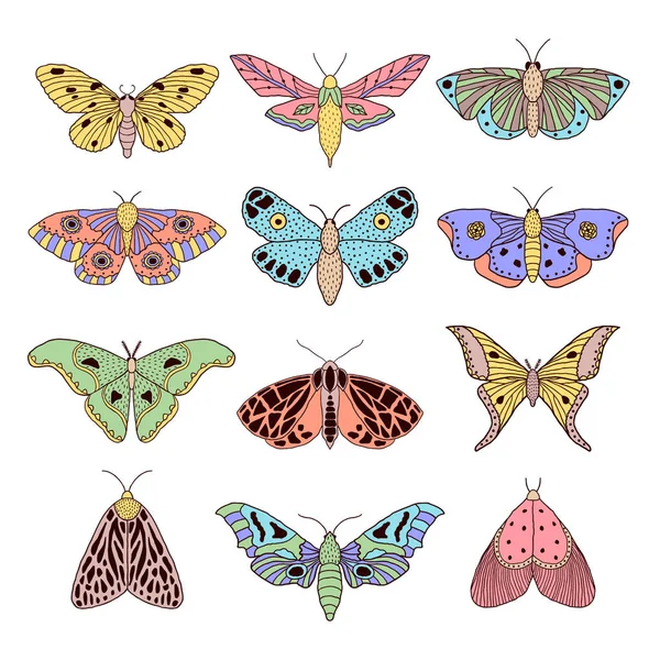 Set of hand drawn moths — Stock Vector