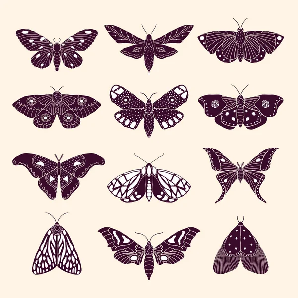 Papillons de nuit et papillons — Image vectorielle