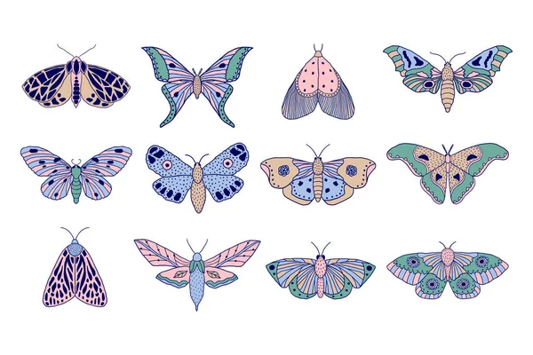 renkli güveler ve kelebekler