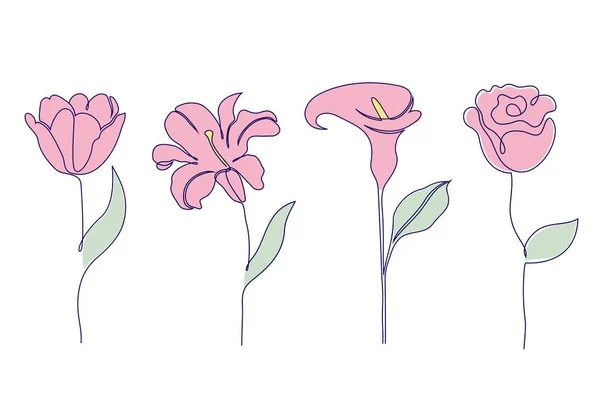 Çiçek seti — Stok Vektör