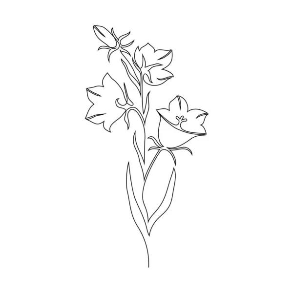 Flor de campana azul sobre blanco — Vector de stock