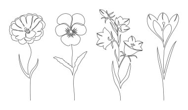 Set of flowers clipart