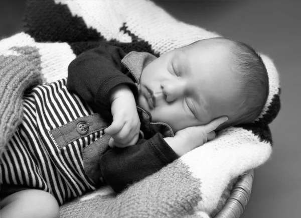 Retrato de un bebé de cuatro meses —  Fotos de Stock