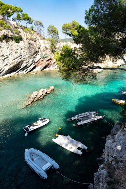 Cala fornells görünümü paguera, majorca, İspanya