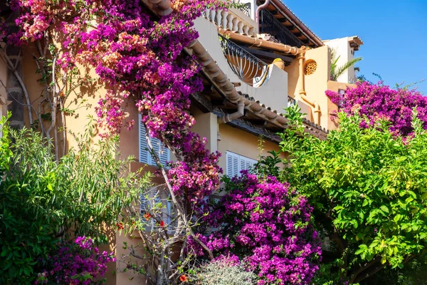 Medelhavs arkitektur på den idylliska lilla staden Cala Fornells — Stockfoto