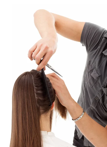 Parrucchiere Professionale Con Modello Capelli Lunghi Isolato Sfondo Bianco — Foto Stock