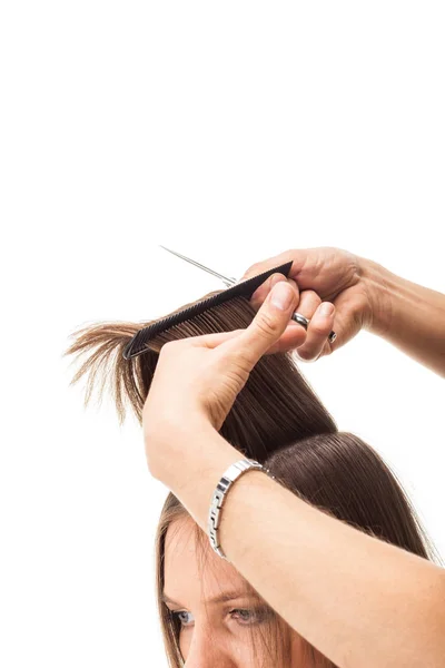 Parrucchiere Professionale Con Modello Capelli Lunghi Isolato Sfondo Bianco — Foto Stock