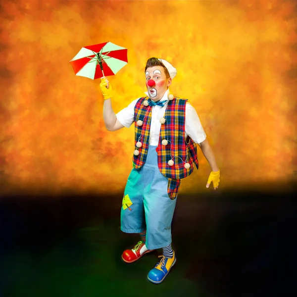 A funny clown with smiling joyful expression — Stock Photo, Image