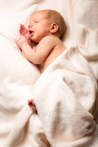 Friskt nyfött barn två veckor gammal sover — Stockfoto